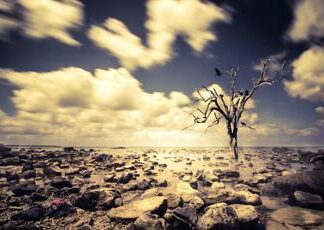 Clima, Consulcesi: “Contro negazionismo ed eco-ansia più formazione”