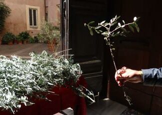 E’ la Domenica delle palme, cosa si celebra e perché si usano i rami d’ulivo