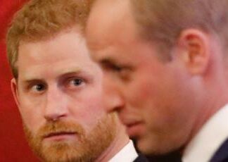 Harry e William all’evento per Lady D, ma i fratelli saranno distanti