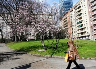 In arrivo un assaggio di primavera, le previsioni meteo di oggi e domani