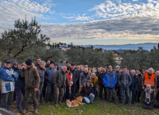 La carica dei potatori di olivi, in cento ad Arezzo La carica dei potatori di olivi, in cento ad Arezzo