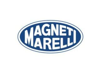 Magneti Marelli di Crevalcore: sarà acquistata a 1 euro da Tecnomeccanica
