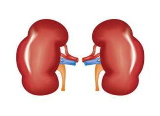 Malattia renale cronica in aumento, ne soffrono in oltre 800 milioni