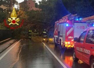 Maltempo in Liguria, cadono alberi e massi sull’Aurelia: strada chiusa in due tratti