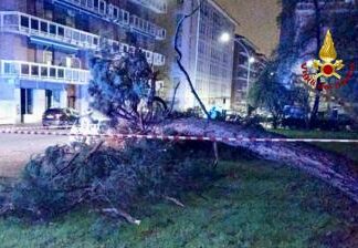 Maltempo nel biellese, alberi caduti e allagamenti