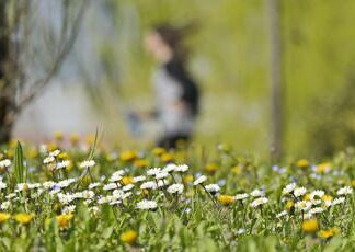 Per Pasqua “niente compiti delle vacanze”. Il pediatra: “Inutili e dannosi”