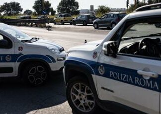 Roma, pino cade su Cristoforo Colombo e colpisce due auto: un ferito