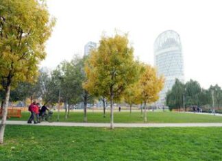 Smog fa male anche alle ossa, con più verde meno osteoporosi