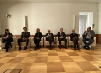 Tumori, ok Aifa a immunoterapia in prima linea per 2 neoplasie del fegato