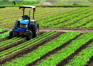 Un’Europa “sociale” attenta alle sfide dell’agricoltura, il manifesto Cia – Agricoltori italiani