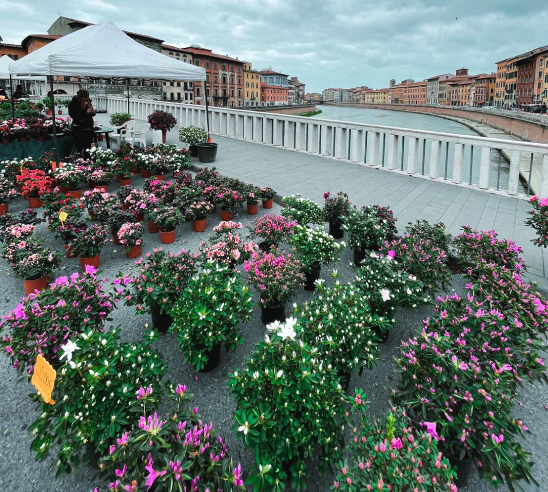 Verde Pisa, a Pasqua e Pasquetta città invasa dai fiori
