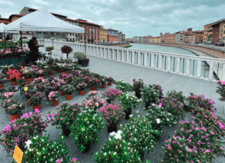 Verde Pisa, a Pasqua e Pasquetta città invasa dai fiori Verde Pisa, a Pasqua e Pasquetta città invasa dai fiori