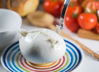 Alimenti, Consorzio Mozzarella Bufala Campana Dop: “Nel 2023 effettuate 5mila verifiche”