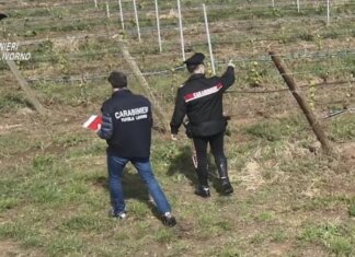 Caporalato in centro accoglienza Piombino, dieci arresti Caporalato in centro accoglienza Piombino, dieci arresti