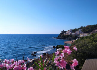 Green Community Costa degli Etruschi, progetto da 4.3 milioni Green Community Costa degli Etruschi, progetto da 4.3 milioni