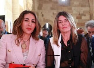 Cinema, Amata: “Verrà stilato manifesto per indicare i correttivi, istituzionalizzare Stati generali”