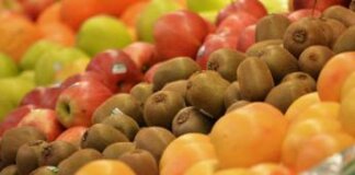 Carburanti e crisi mediorientale spingono i prezzi: melanzane a +21% e biglietti aerei in volo