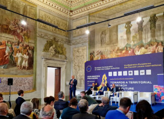 Europee 2024, appello Province: “Chiarezza politiche coesione” Europee 2024, appello Province: "Chiarezza politiche coesione"