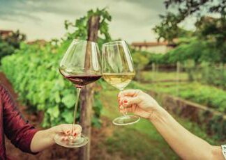Cresce enoturismo in Italia: identikit di cantine e visitatori. Ma che spazio c’è per la sostenibilità?