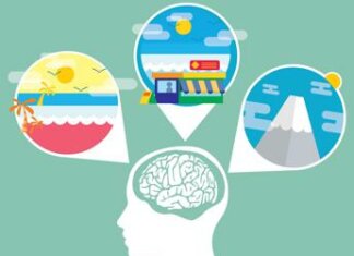 Disturbi della memoria, scoperto come il cervello distingue e conserva eventi simili