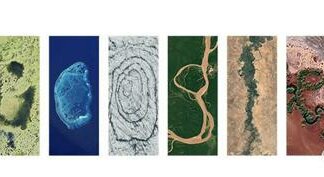 Doodle di Google di oggi per la Giornata della Terra 2024