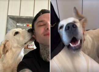 Ferragni, Fedez e l’amore per Paloma: segnali di ‘disgelo’ tra i due?