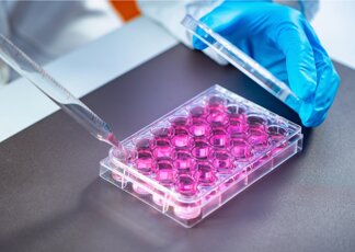 I nani superlongevi dell’Ecuador hanno il cuore protetto, lo studio