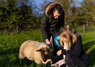 L’Irlanda cerca amici della natura, vitto e alloggio in cambio di aiuto