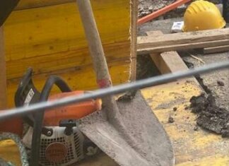 Lavoro, numeri sorprendenti: occupazione cresciuta di più al Sud