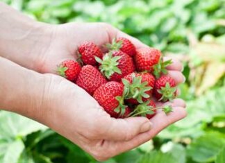 Leggera, colorata e anti-allergie: ecco la dieta di primavera