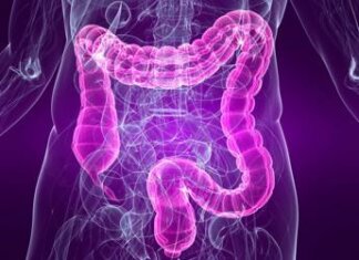 Medicina, sindrome intestino irritabile e sistema cardiovascolare sono legati