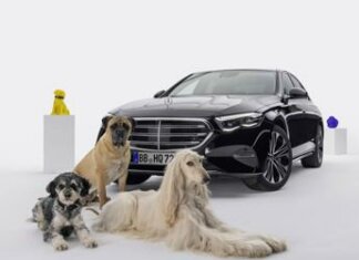 Mercedes MBUX Bark Assist: l’assistente vocale per gli amici a quattro zampe