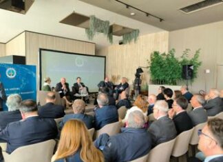Mezzogiorno, Confindustria Palermo: “Zes unica? Perplessità su solo 1,8 mld per intero Sud”