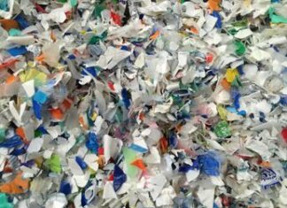 Microplastiche anche nei follicoli, minaccia per la fertilità femminile