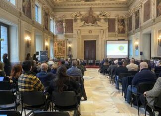 Milano, alla Bam 300 sensori per misurare stabilità alberi e C02 stoccata