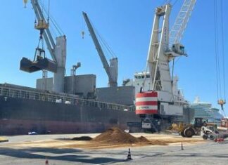Porti, scenario sfavorevole ma nel 2023 Civitavecchia limita calo a -5,7%