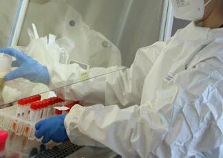 Primo caso umano di virus B trasmesso dalle scimmie