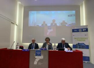 Sfide globali e locali della Salute Mentale: analisi dell’Italia Centrale