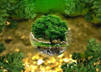 Sostenibilità: Minsait e Circular siglano una partnership per lo sviluppo della prima certificazione ambientale e sociale di prodotto in Italia