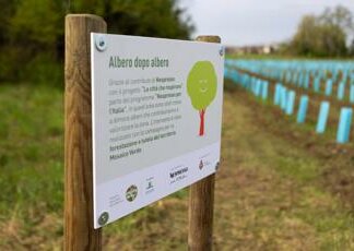 Sostenibilità, a Pradamano nasce un nuovo bosco urbano di 1.000 piante