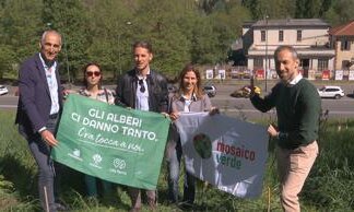 Sostenibilità: forestazione urbana, 750 nuove piante nel quartiere Parella di Torino