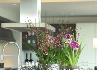 Vivaio Floricoltura Moretti, Bergamo: “Vasi e fioriere di design eleganti, funzionali ed ecosostenibili”