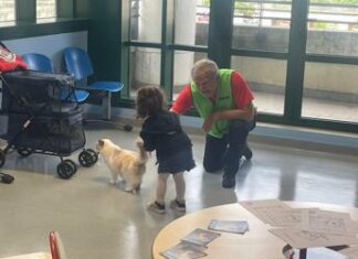 Al Niguarda e Fatebenefratelli Milano Cat Therapy per mille bambini