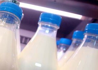Aviaria in Usa nuovi controlli su latte e derivati, ‘no virus vivi e infettivi’