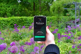Biodiversa, ‘snap and protect’, formula per monitorare la biodiversità e contribuire alla sua tutela tramite un’app gioco