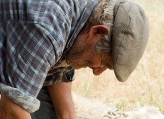 Consumi e abitudini, come è cambiato lo stile di vita in Sardegna