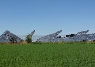 Dl Agricoltura, stop all’agrivoltaico se non permette l’attività agricola