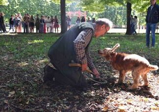Leo, il cane cieco campione nella ricerca del tartufo: ecco la sua storia