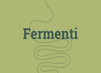 Microbiota e immunità. Come i batteri addestrano gli anticorpi.