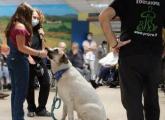 Non solo Pet Teherapy, gli amici a 4 zampe entrano nelle Rsa